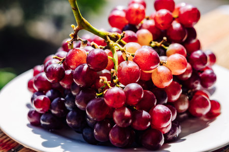 Close up bunch of bright red brown juicy ripe grapes berries, healthy sweet fruits, sunny mood, vitamins healthy foodの写真素材