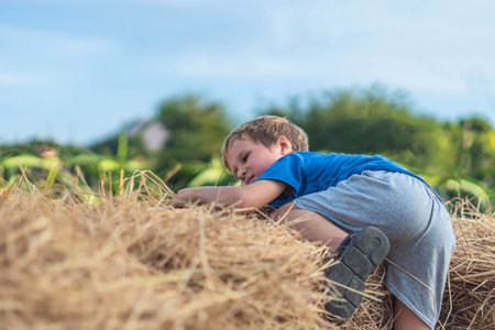 Boy blue t-shirt smile play climbs on down haystack bales of dry hay, clear sky sunny day. Outdoor
