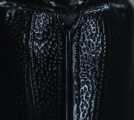 Abstract macro real nature photo for background. Rhinoceros beetle insect back, surface textureの写真素材