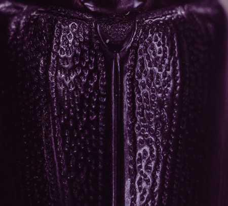 Abstract macro real nature photo background. Rhinoceros beetle insect back, surface texture detailの写真素材