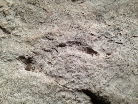 Stone texture-backgroundの写真素材