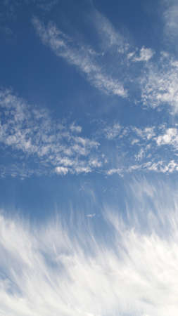 Skysacper for background and texturedの写真素材