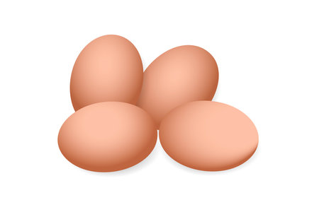 Four raw eggs in white background illustration designのイラスト素材