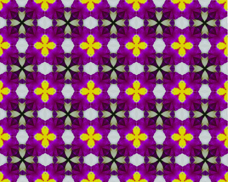 background  pattern made from piece of flower in vintage style ,created from filter technique