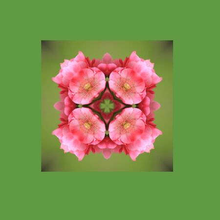 background  pattern made from piece of flower in vintage style ,created from filter technique
