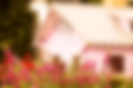 blurry background photo of bush pink flowers in garden with pink little hut in vintage styleの写真素材
