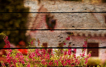 bush of pink flowers in garden with  pink houses ,photo vintage style and painting on old wooden...