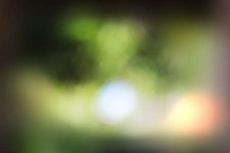abstract blurry green bokeh background