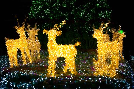 de-focus blured of raindeer Bokeh backgroundの写真素材