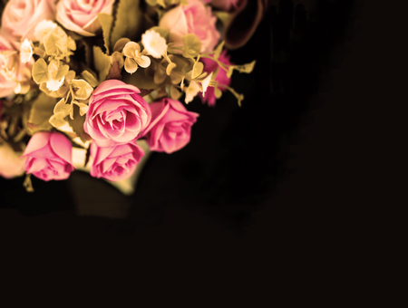 close up pink rose on black background ,old sepia color and defocused shotの写真素材