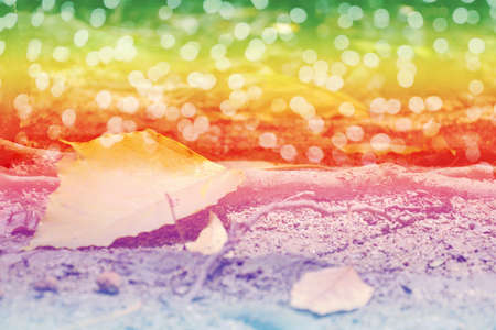 sweet dreamy yellow leaf and branch falling down on floor with bokeh , soft focusの写真素材