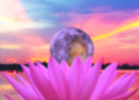 de-focused; petal of pink water-lily and Buddha image in globe with colorful sunset scene , the water-lily is a symbol of holy flower in Buddhism , flower use offer sacrifice for monk and Buddha imageの写真素材