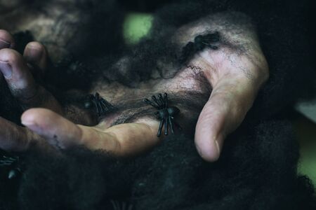Scary hands with black spiders and a spiderwebの写真素材