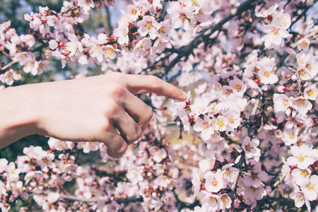 Hand touching a flower in spring