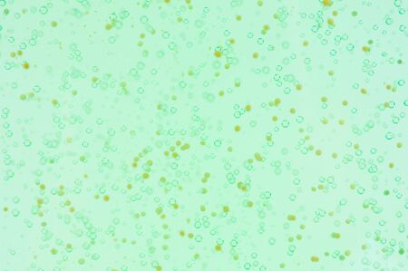 Sparkling  bubbles on green  background