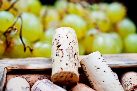 Wine corks in the frame close upの写真素材