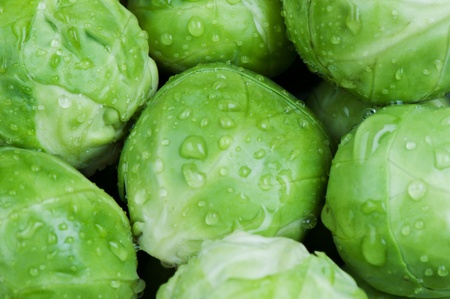 Brussels sprouts background close upの写真素材