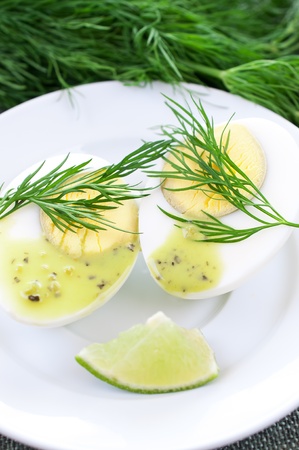 Chicken boiled egg cut in half on dill backgroundの写真素材