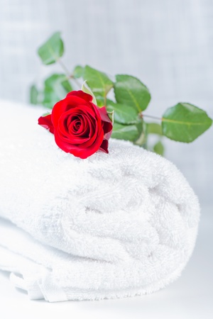 clean rolled towel with red roseの写真素材