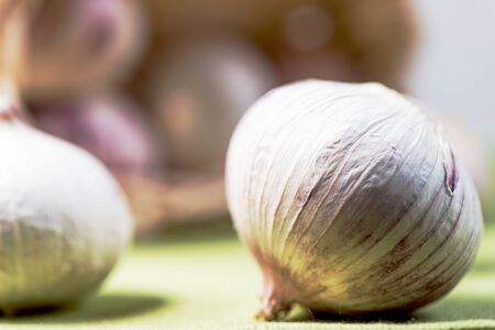 Garlic close upの写真素材