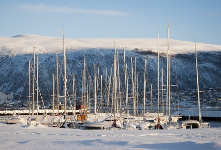 Marina in Tromso, Norway in winterの写真素材