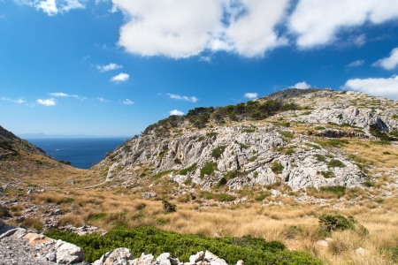 Cape Formentor at the coast of Mallorca, Spainの写真素材