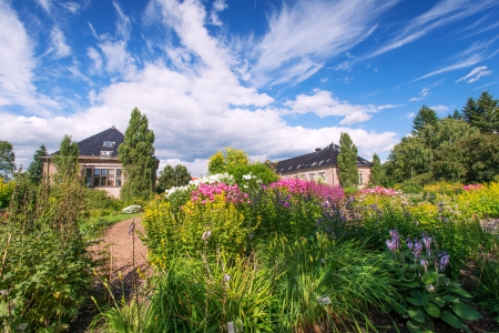 Garden at summer dayのeditorial素材