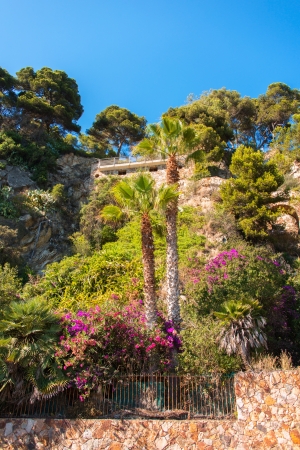 View on land from boat near Lloret de Mar, Spainのeditorial素材