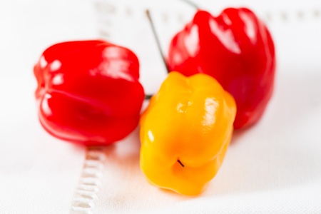 Group of three habanero peppers on white napkinの写真素材