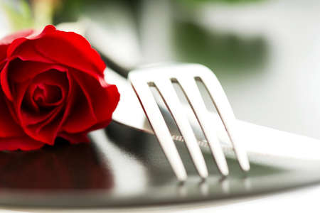 Composition of Red rose flower closeup on plateの写真素材
