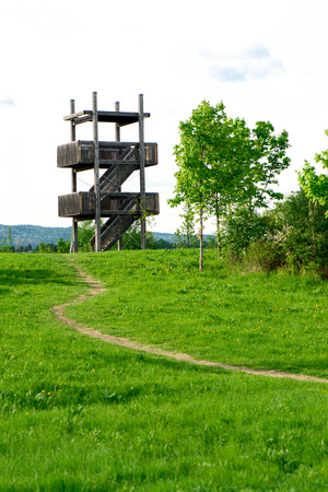 Bird watching tower in forestの写真素材