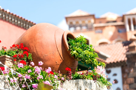 Decorative clay pot with herbsの写真素材