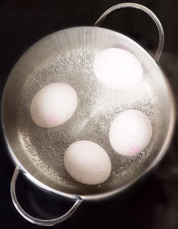 Boiling eggs on cooktopの写真素材