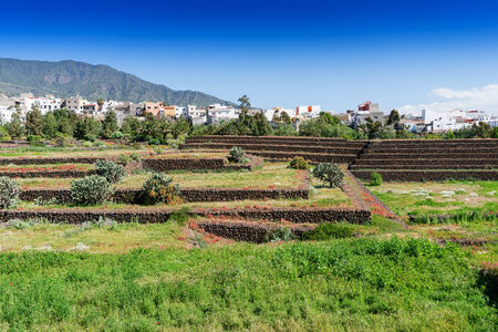 The Pyramids of GÃ¼Ã­mar (Guanches step pyramids de Guimar), Tenerife, Canary Islands, Spainの写真素材