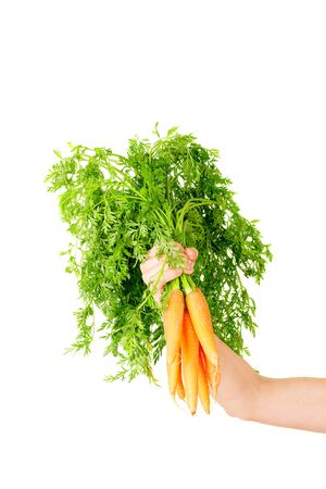 Carrot vegetable with leaves isolated on white background cutout in human handの写真素材
