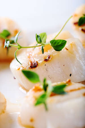 Grilled scallops with thyme leafs on white plate, close upの写真素材