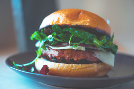 Homemade cheese burger on a plateの写真素材
