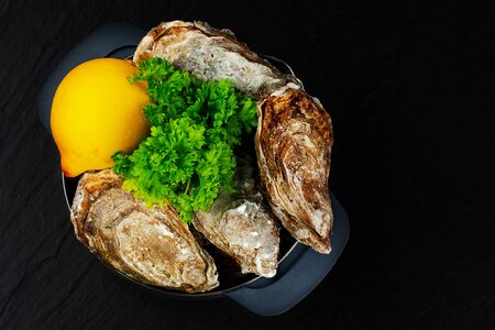 Raw oysters on plate with  lemon and parsleyの写真素材