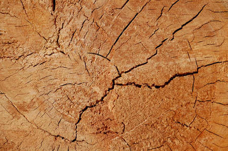 nice wood pattern rough surface natural textureの写真素材