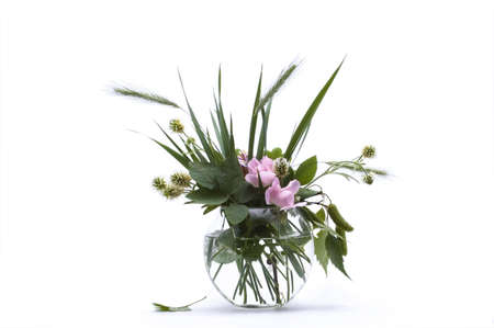 bunch of flowers still life on whiteの写真素材