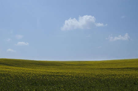 nature background