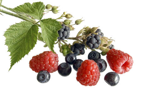 summer fruitsの写真素材