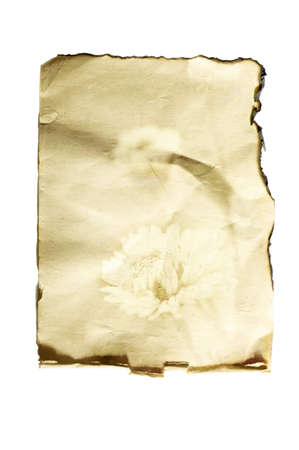 pattern of old paper on white isolatedの写真素材