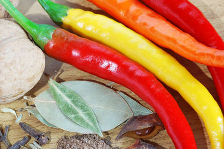 spice: pepper anisetree cumin cloves bay leafの写真素材