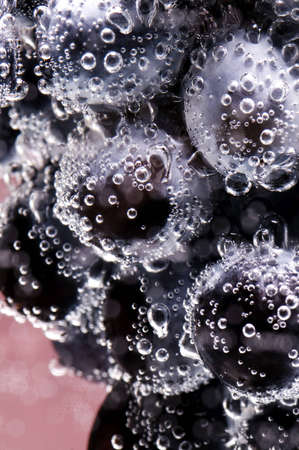 close-up of grape with bulbs underwaterの写真素材