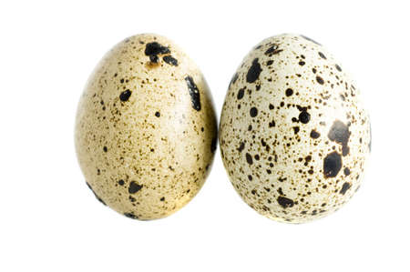 two quail eggs isolatedの写真素材