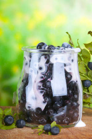 Fresh healthy bilberry yoghurt in glass on greenの写真素材
