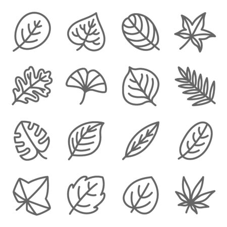 Leaf icon set vector illustration. Contains such icon as Ginko, Leaf, Autumn, leaves, Aloe, Botany and more. Expanded Strokeのイラスト素材