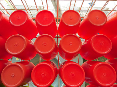 Red plastic cups were placed on the white shelf after cleaningの写真素材