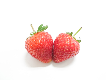 Two red strawberry isolated on white background , it is fresh and healthyの写真素材